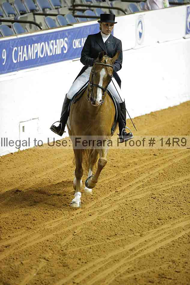 Proof 14r9_2199