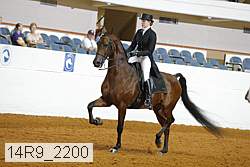 14r9_2200 proof