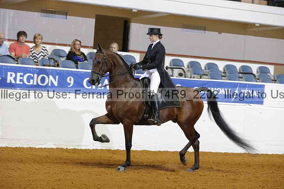 Proof 14r9_2202