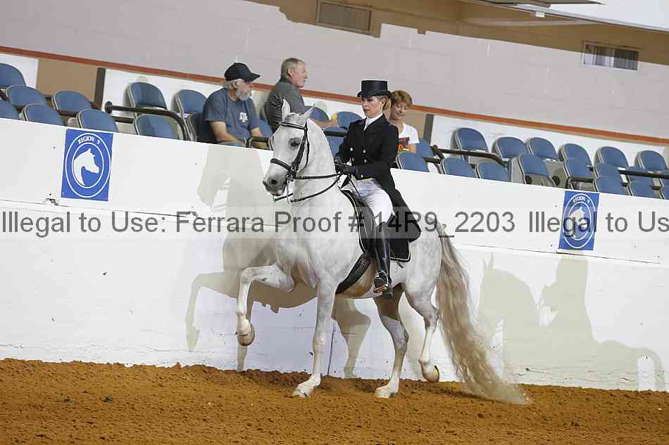 Proof 14r9_2203