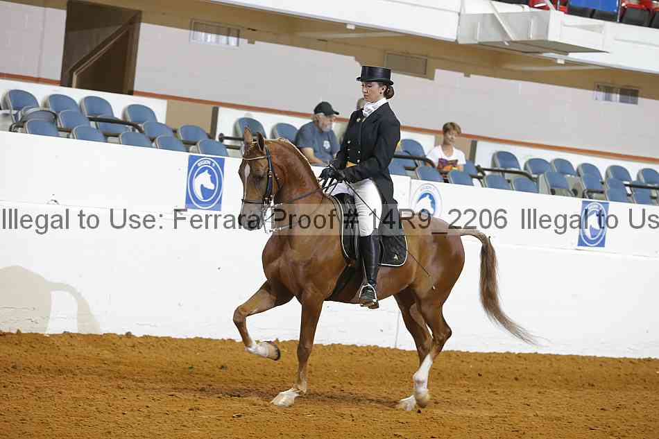 Proof 14r9_2206