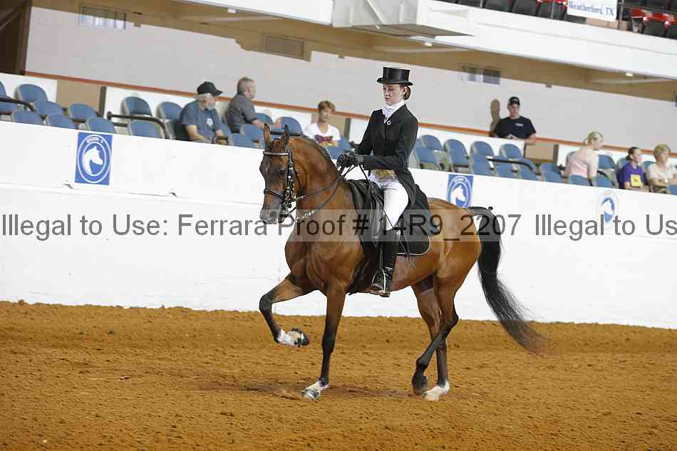 Proof 14r9_2207
