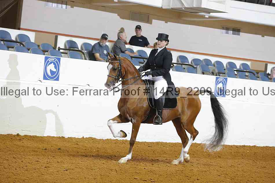 Proof 14r9_2209