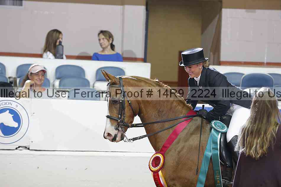 Proof 14r9_2224