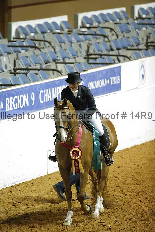 Proof 14r9_2228