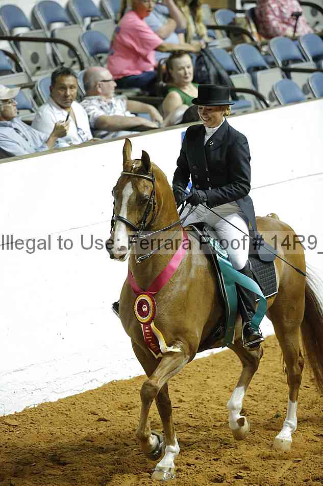 Proof 14r9_2229