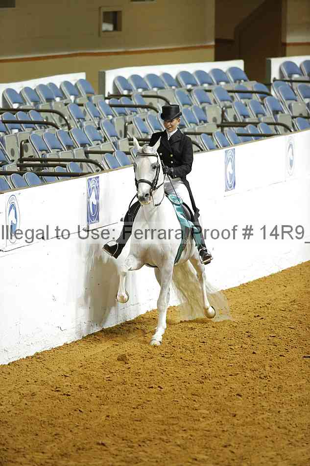 Proof 14r9_2246