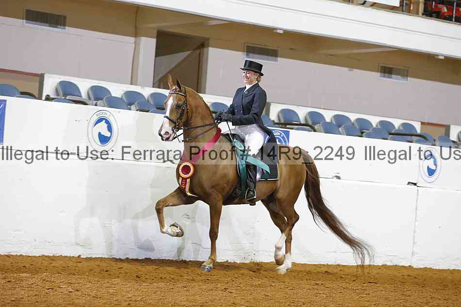 Proof 14r9_2249