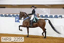 14r9_2255 proof
