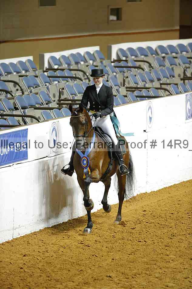 Proof 14r9_2256