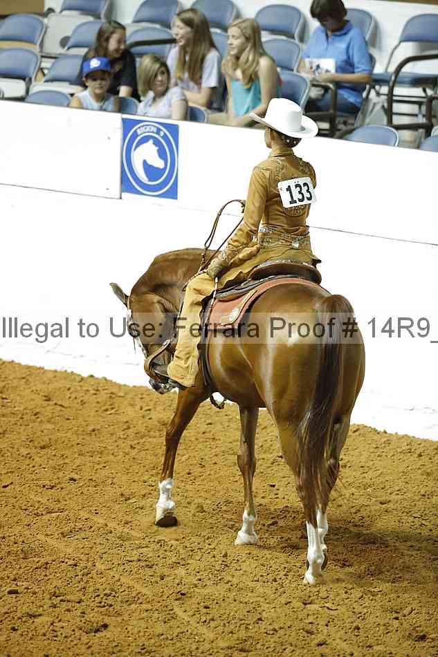 Proof 14r9_2263