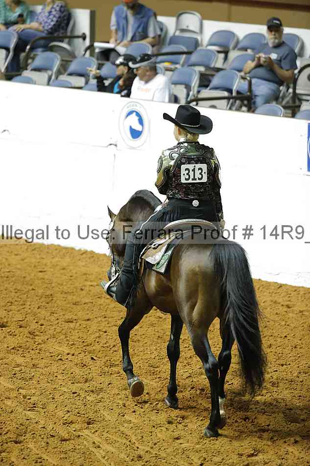 Proof 14r9_2266