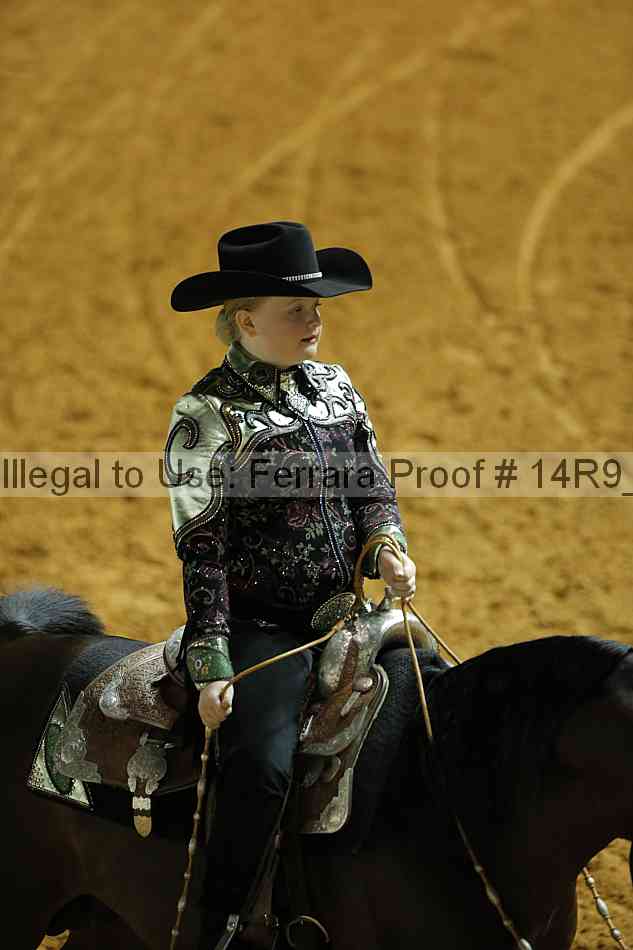 Proof 14r9_2286