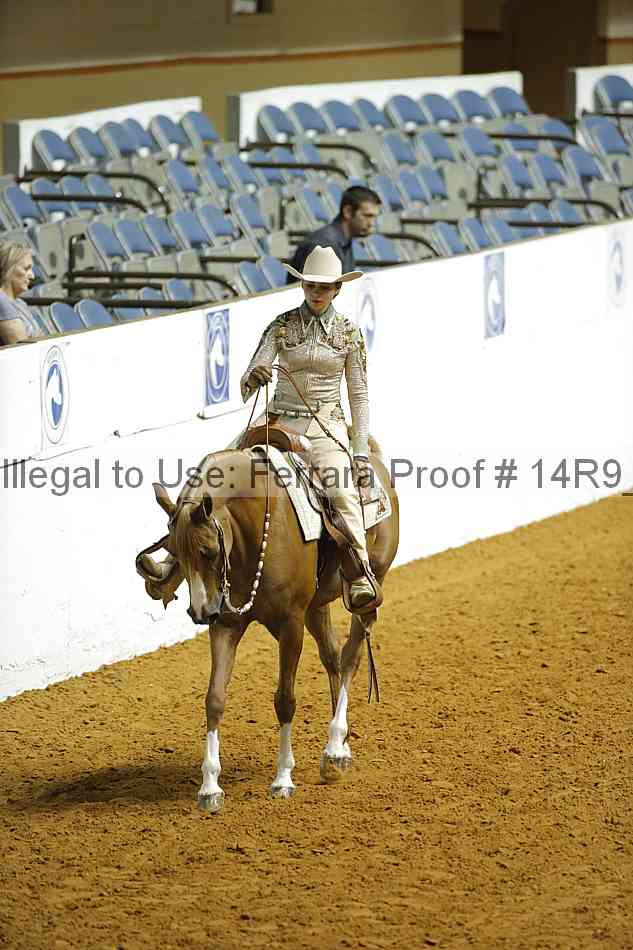 Proof 14r9_2291
