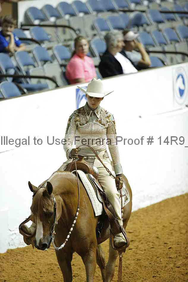 Proof 14r9_2293
