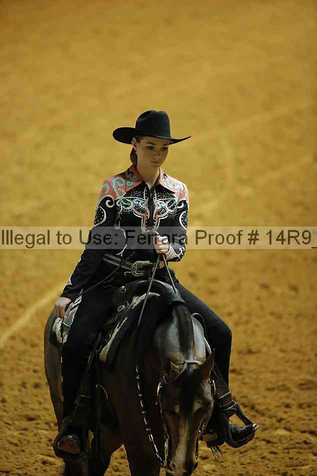 Proof 14r9_2294