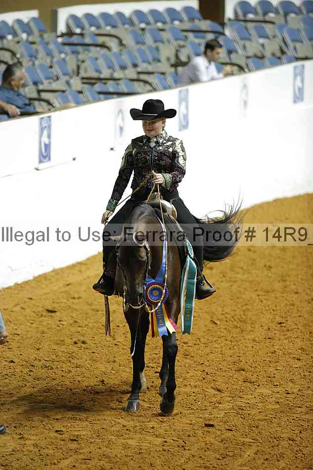 Proof 14r9_2304