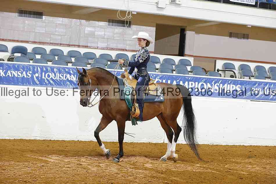 Proof 14r9_2306