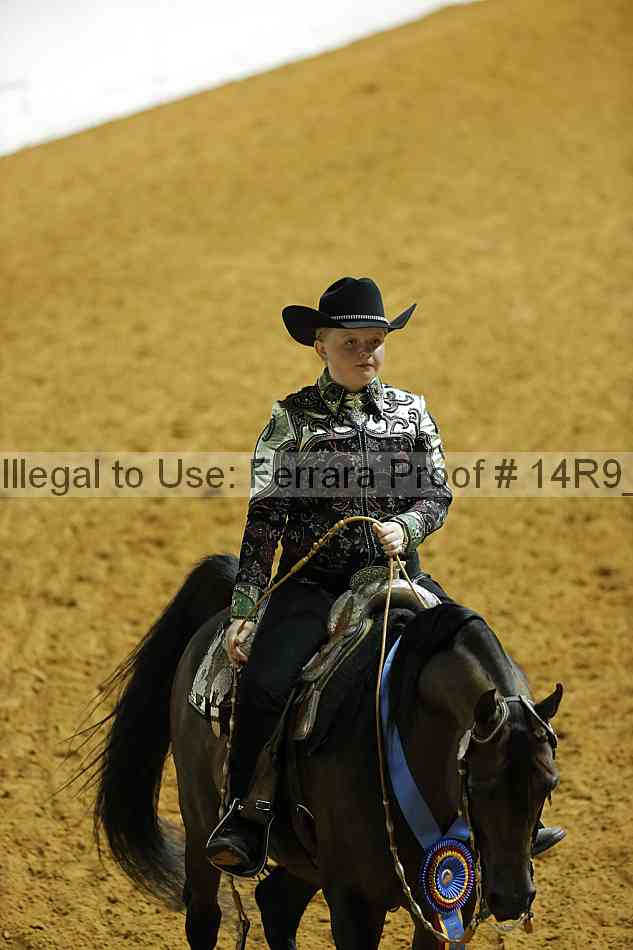 Proof 14r9_2333