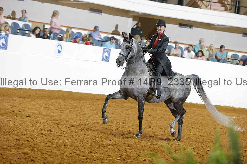 Proof 14r9_2335