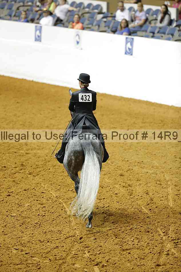 Proof 14r9_2336