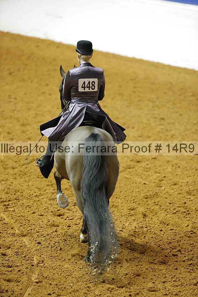 Proof 14r9_2339