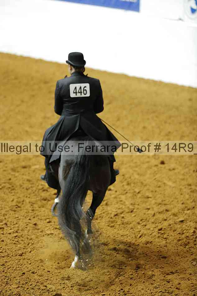 Proof 14r9_2341