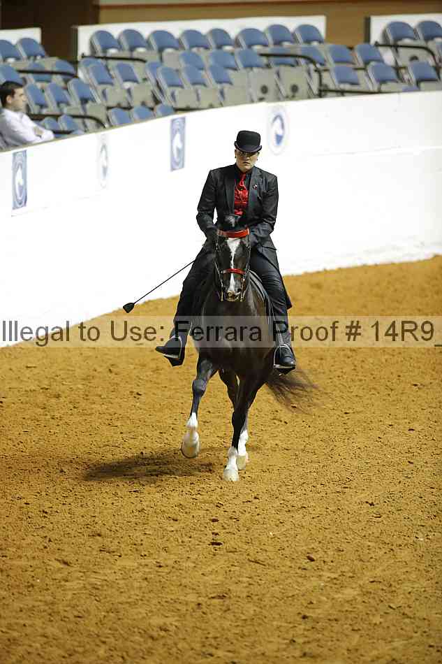 Proof 14r9_2346