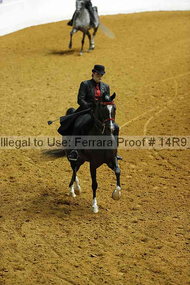Proof 14r9_2349