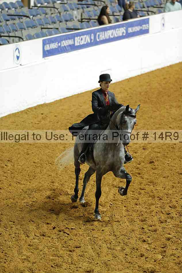 Proof 14r9_2351