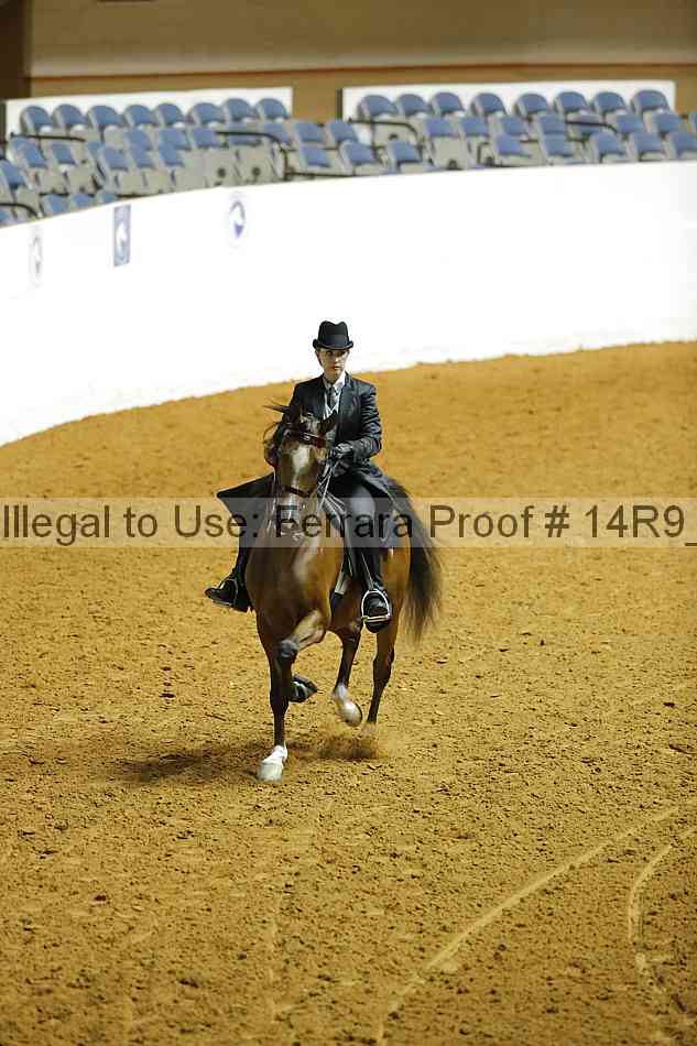 Proof 14r9_2353
