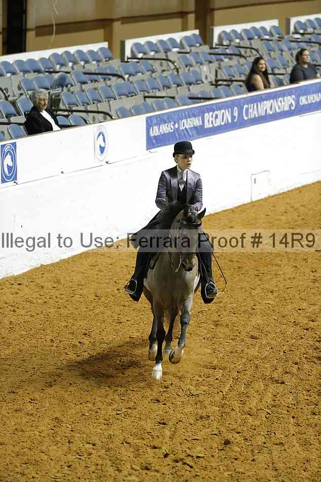 Proof 14r9_2355
