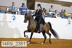 14r9_2361 proof