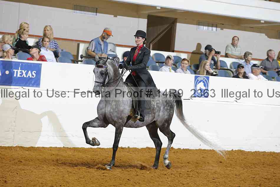 Proof 14r9_2363