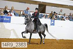 14r9_2363 proof