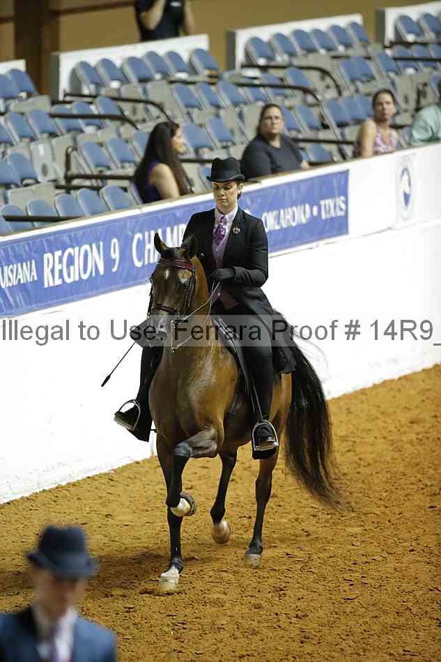 Proof 14r9_2368