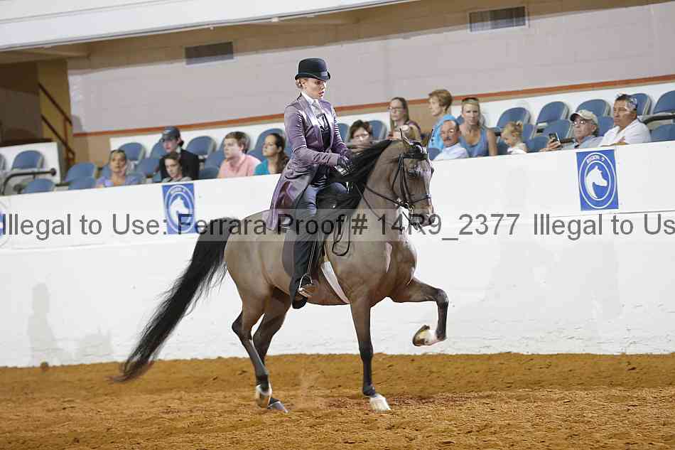 Proof 14r9_2377
