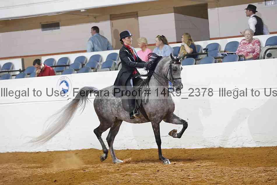 Proof 14r9_2378