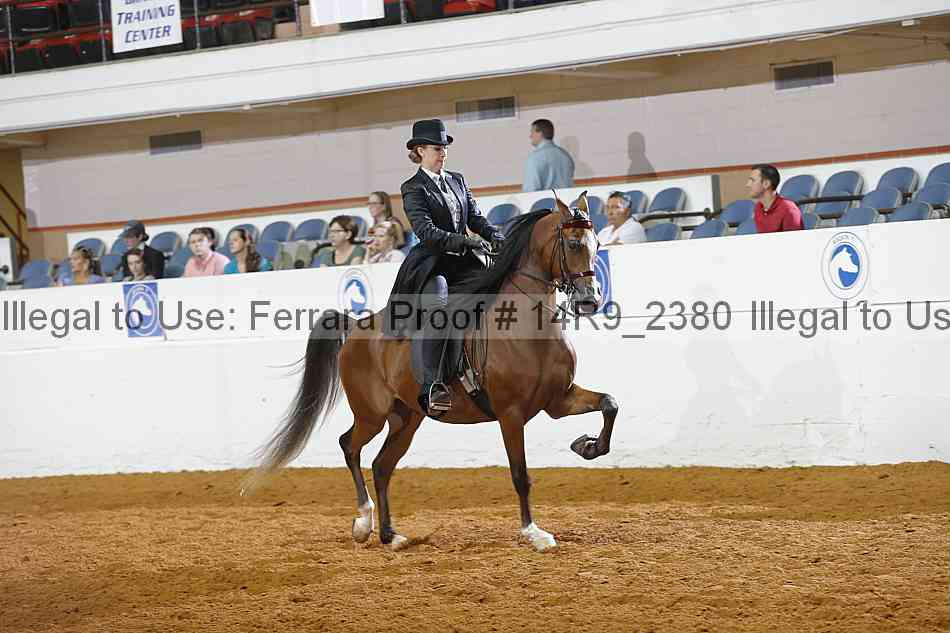 Proof 14r9_2380