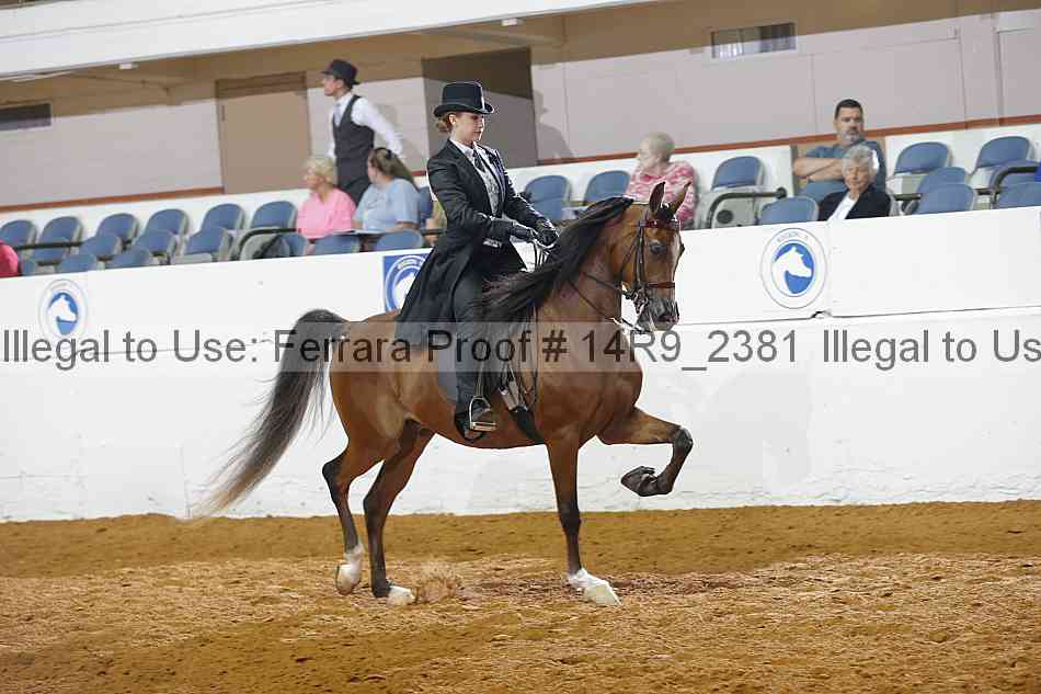 Proof 14r9_2381