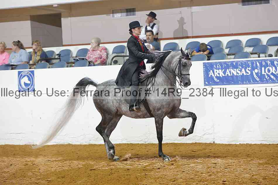 Proof 14r9_2384