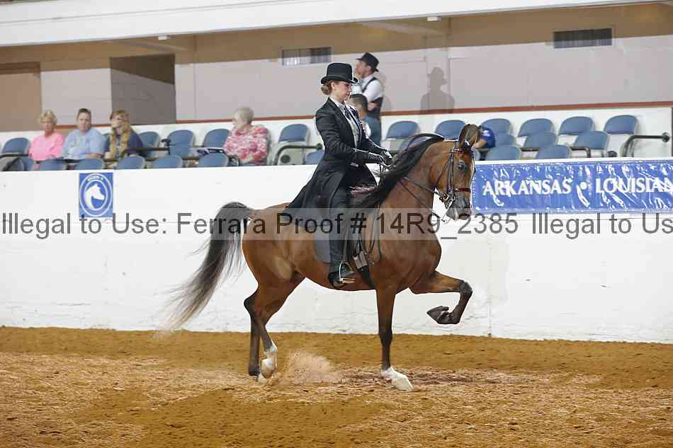 Proof 14r9_2385