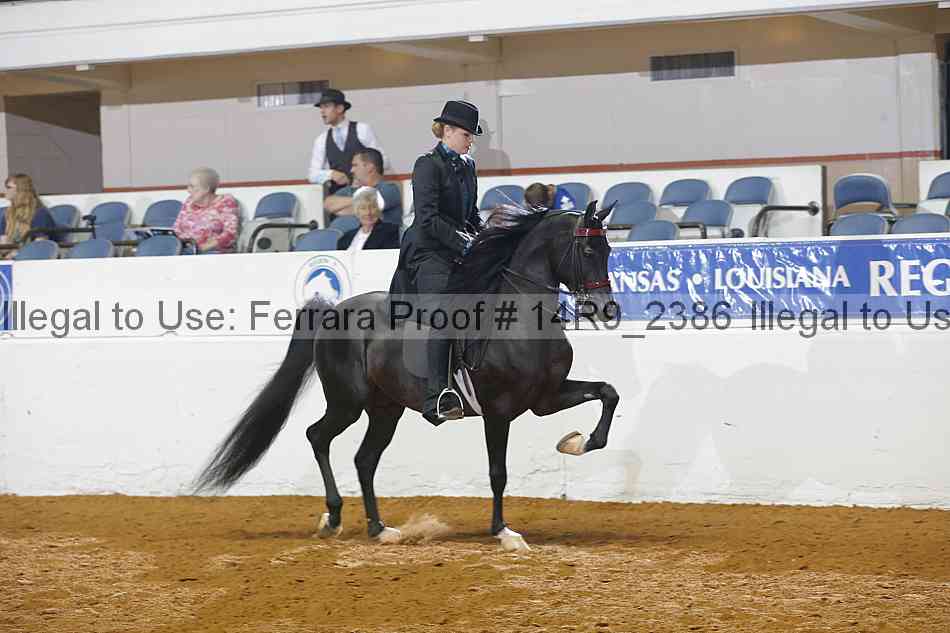 Proof 14r9_2386