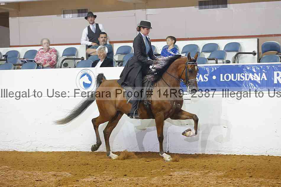 Proof 14r9_2387