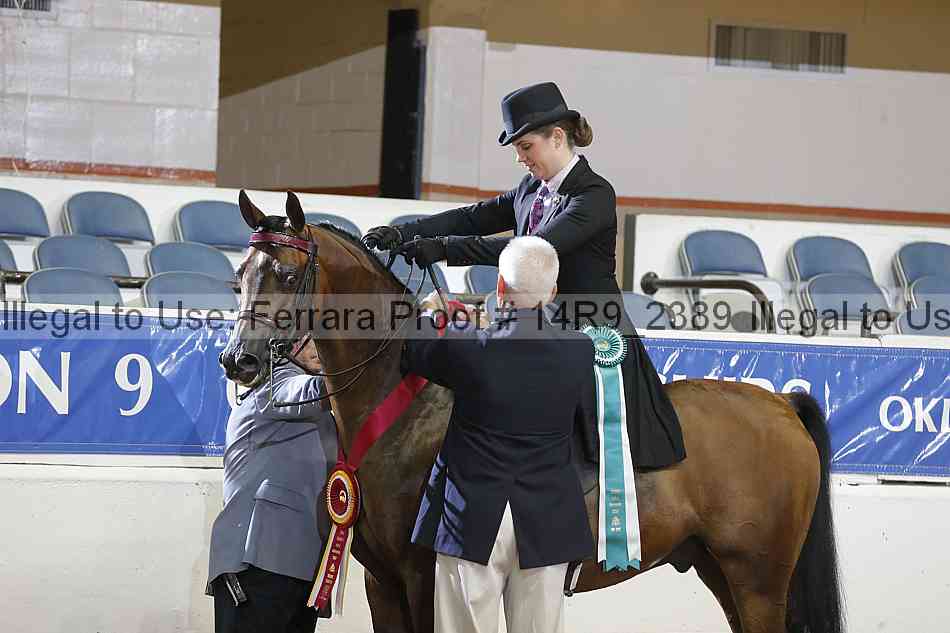 Proof 14r9_2389