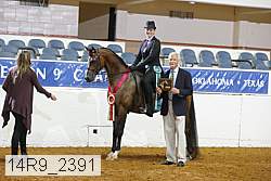 14r9_2391 proof