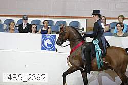 14r9_2392 proof