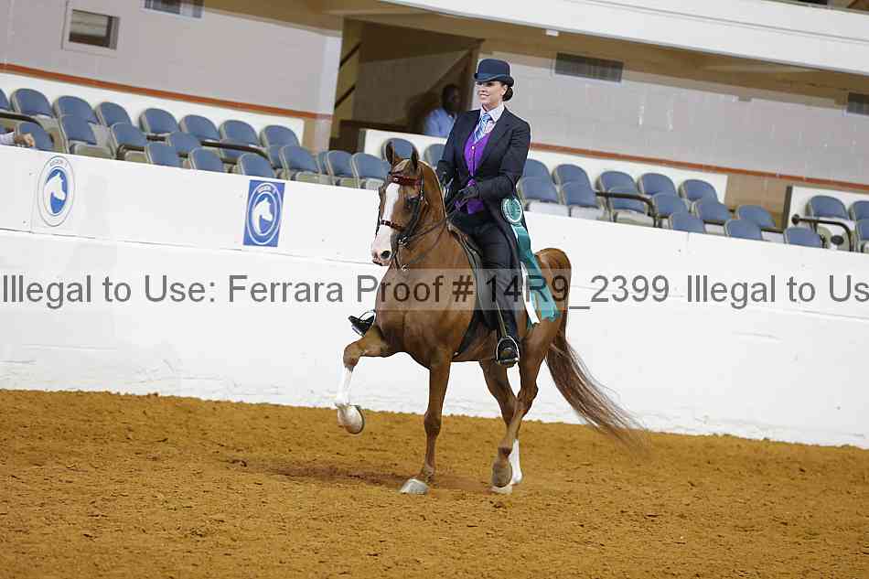 Proof 14r9_2399