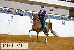14r9_2400 proof