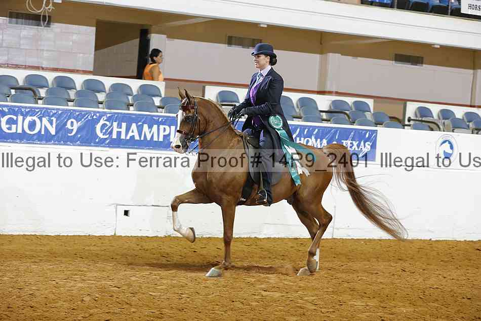 Proof 14r9_2401